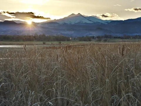 Sunset over McIntosh Lake in north-west Longmont: dry cattails in the foreground and the sun dropping behind the snow-covered mountains to the west